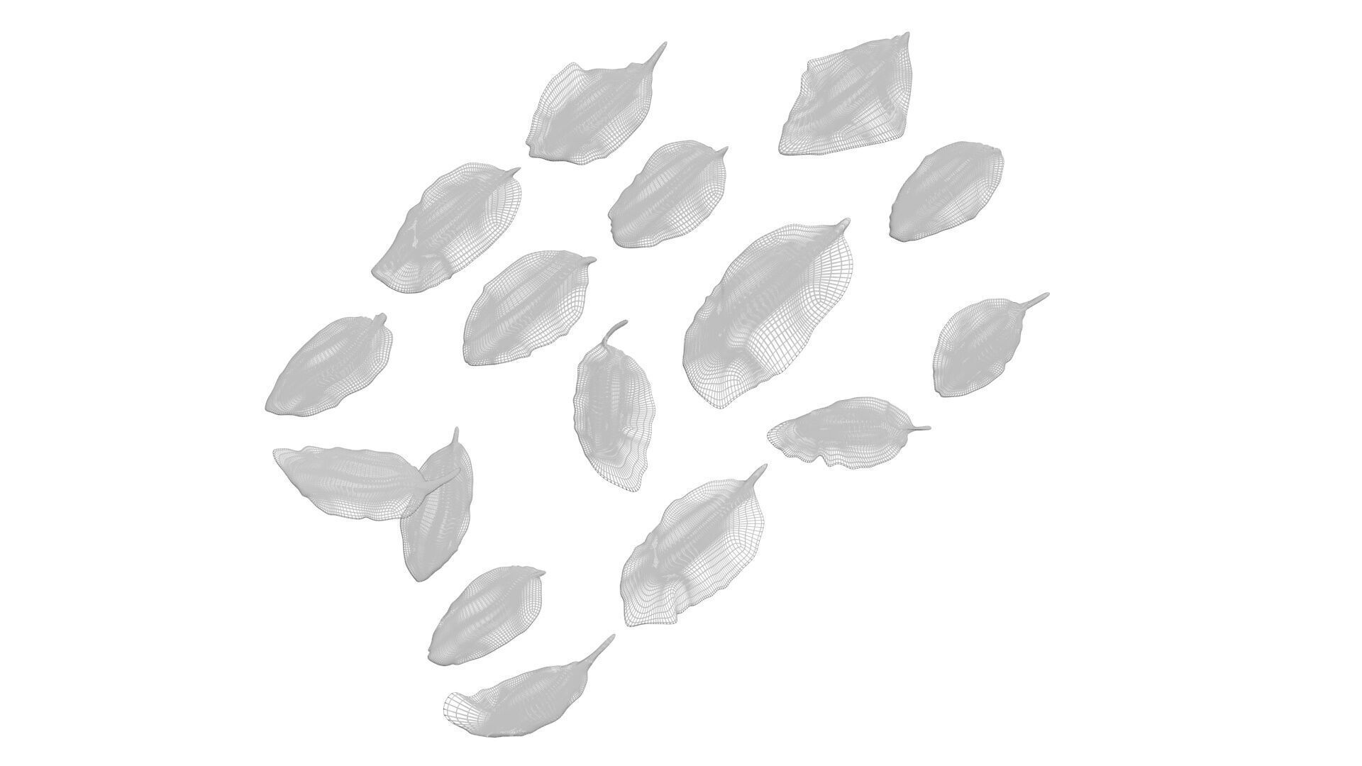 Fresh Basil Leaves Set 3D model_19