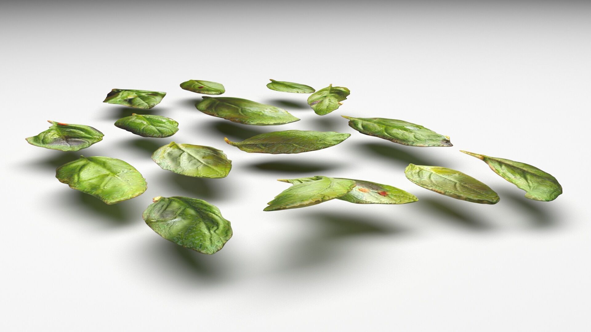 Fresh Basil Leaves Set 3D model_2