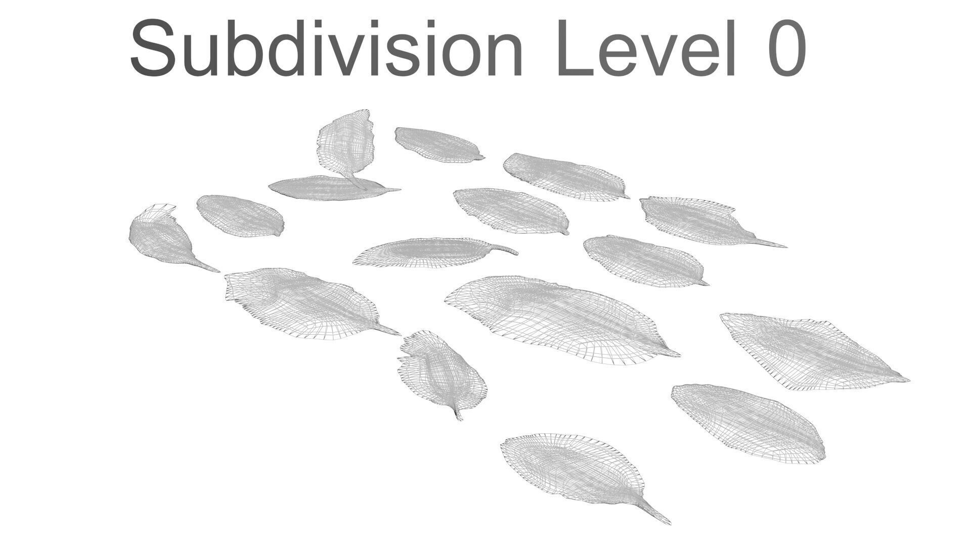 Fresh Basil Leaves Set 3D model_25