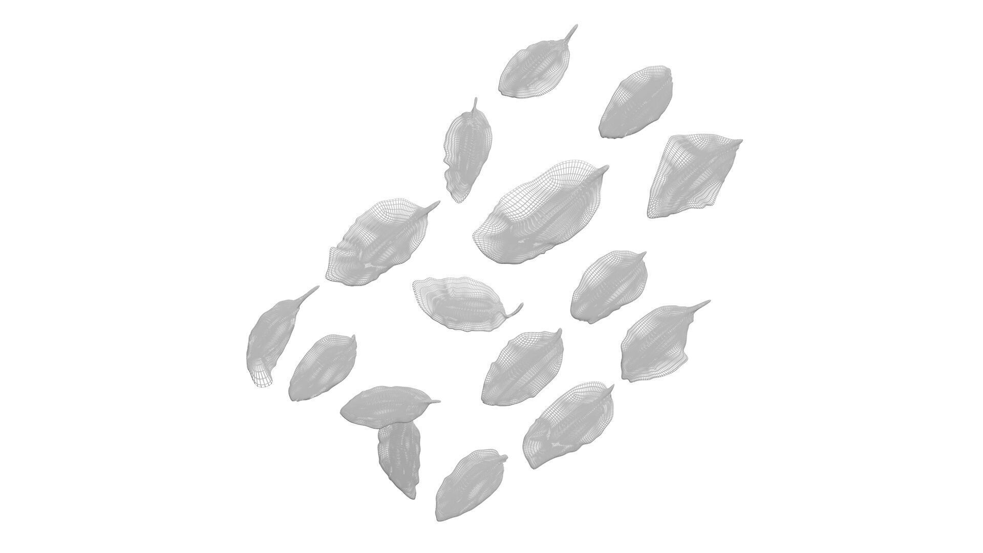 Fresh Basil Leaves Set 3D model_20