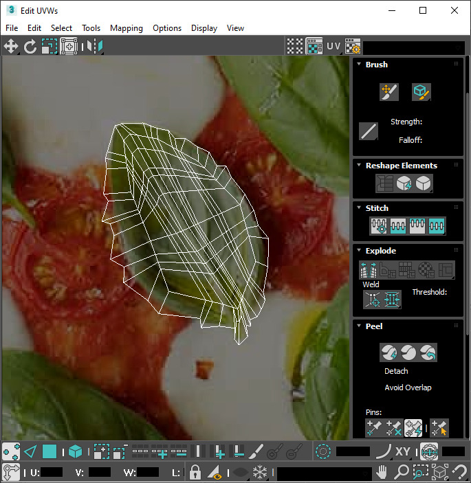 Fresh Basil Leaves Set 3D model_35