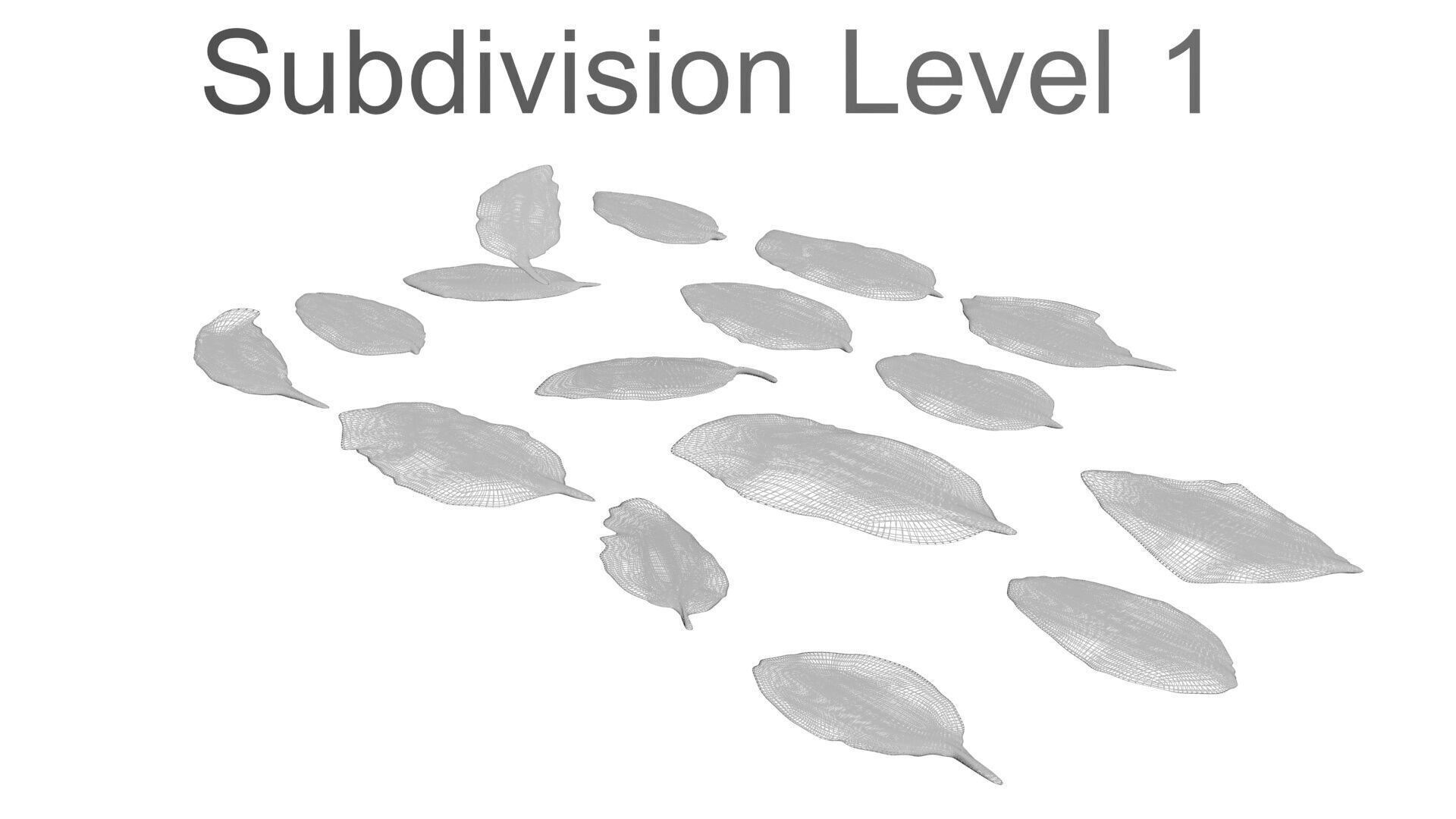 Fresh Basil Leaves Set 3D model_24