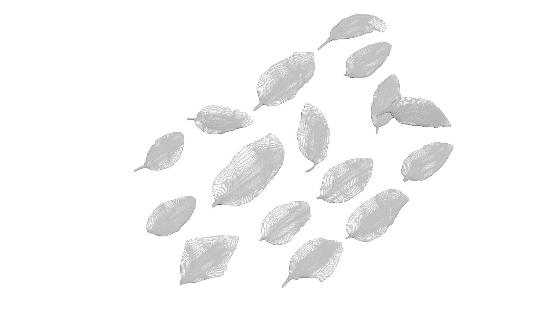 Fresh Basil Leaves Set 3D model_17