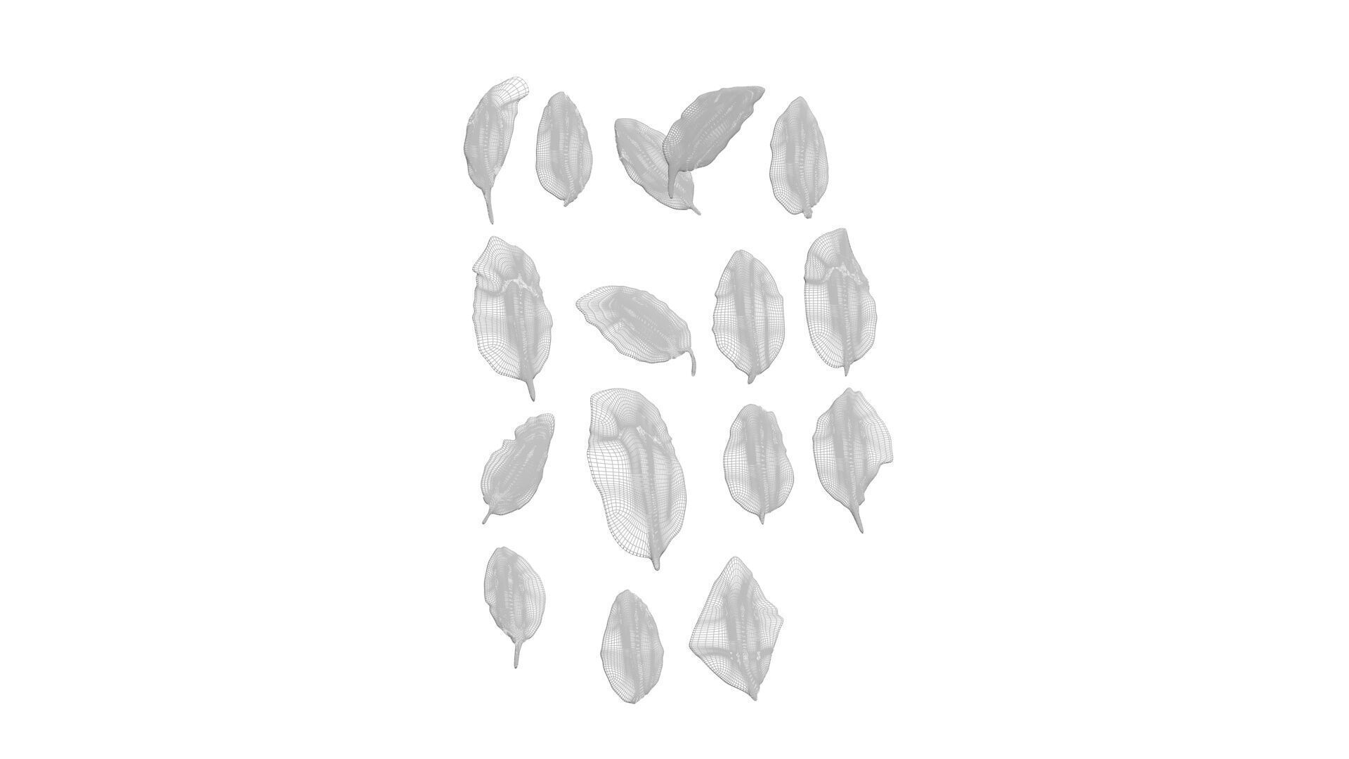 Fresh Basil Leaves Set 3D model_22