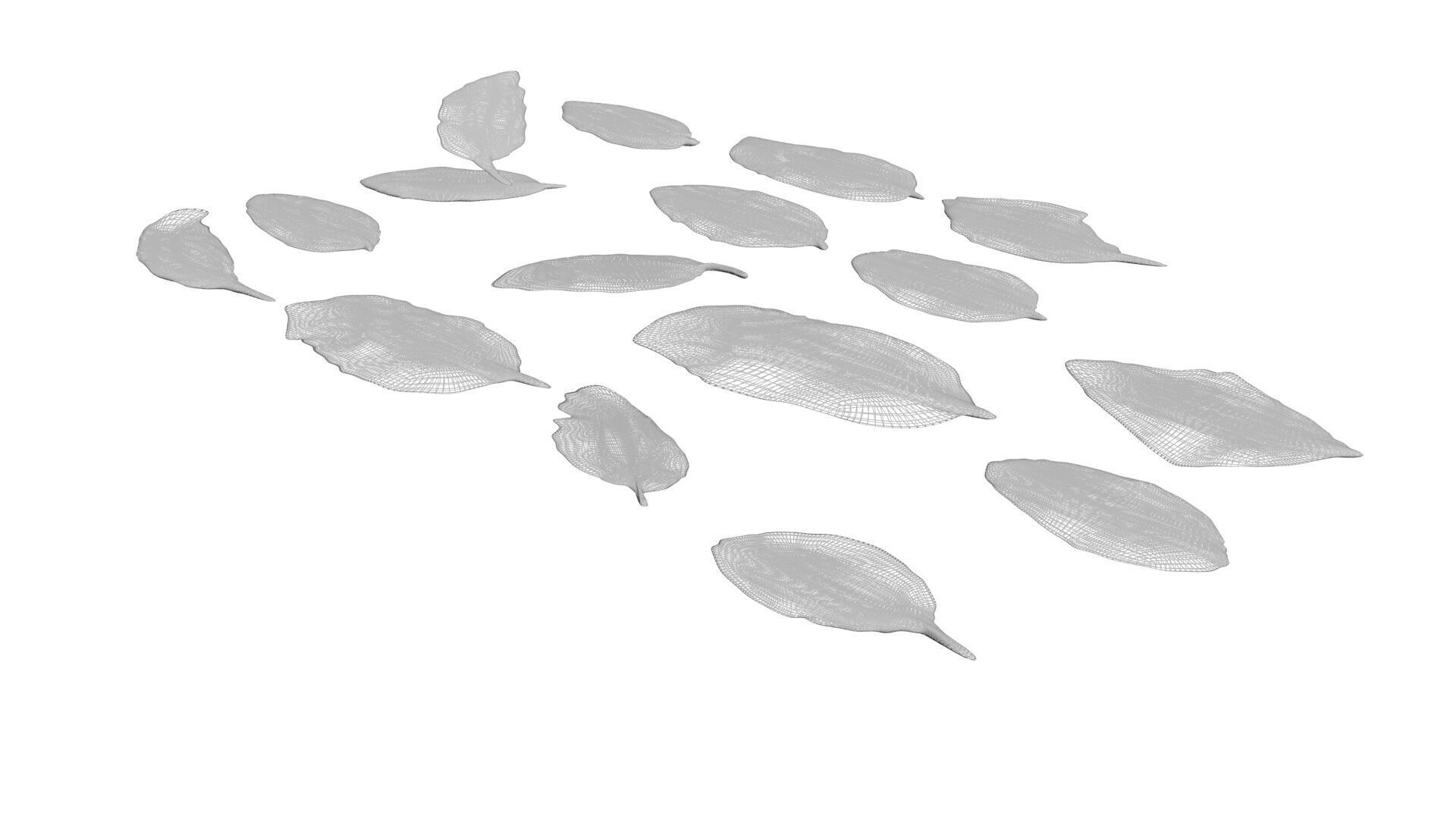 Fresh Basil Leaves Set 3D model_16