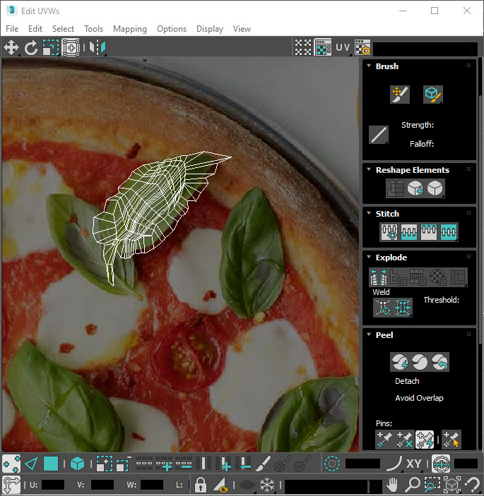 Fresh Basil Leaves Set 3D model_28