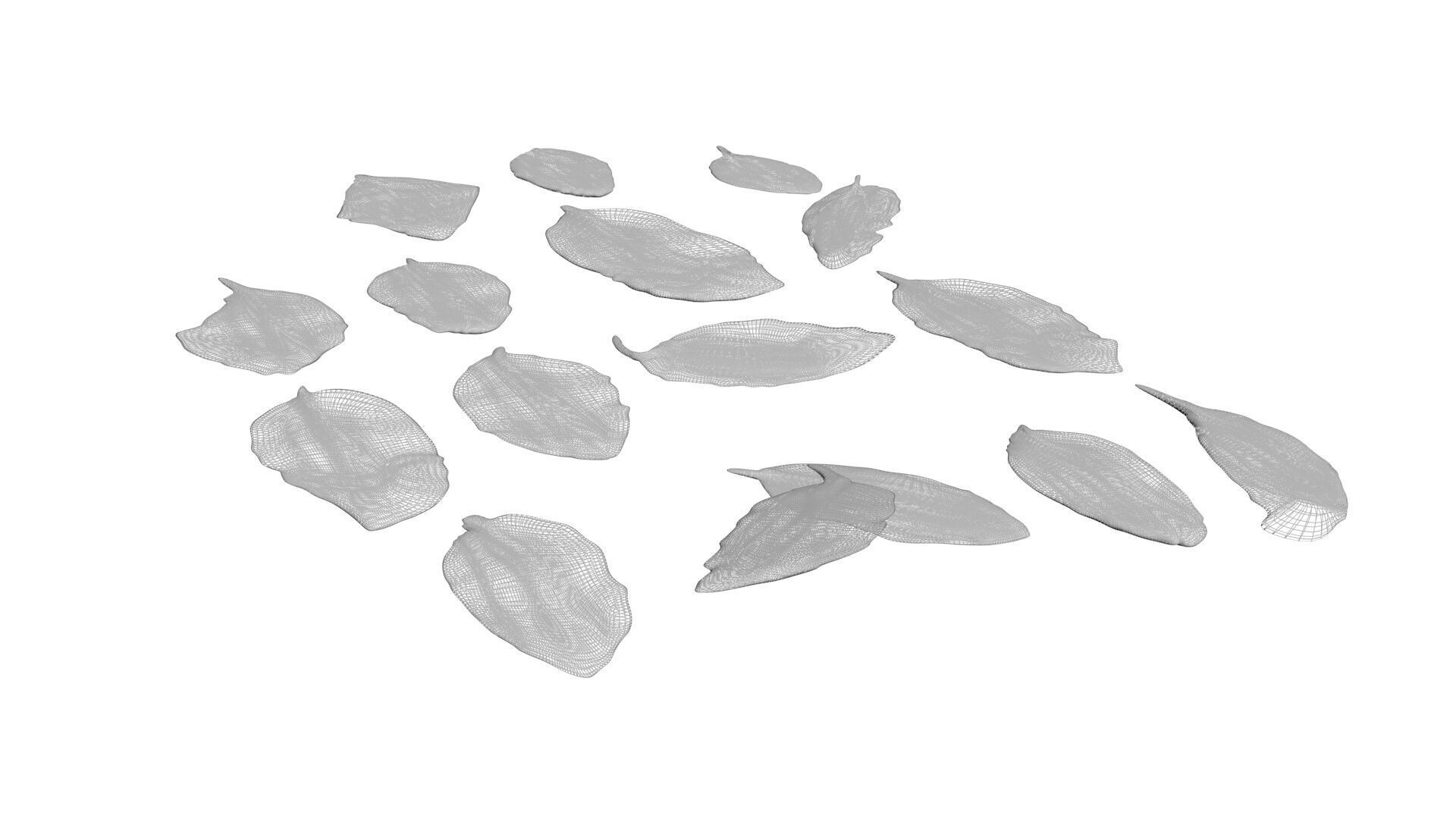 Fresh Basil Leaves Set 3D model_18