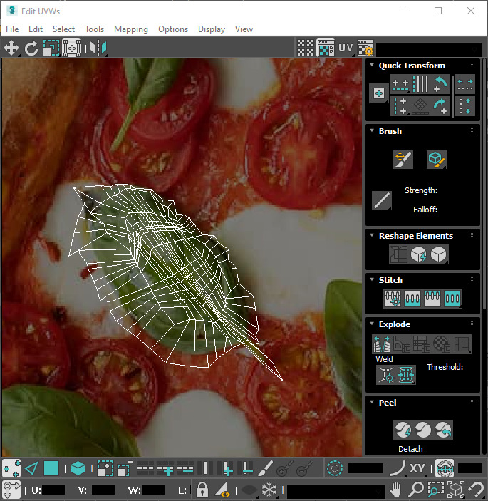 Fresh Basil Leaves Set 3D model_29
