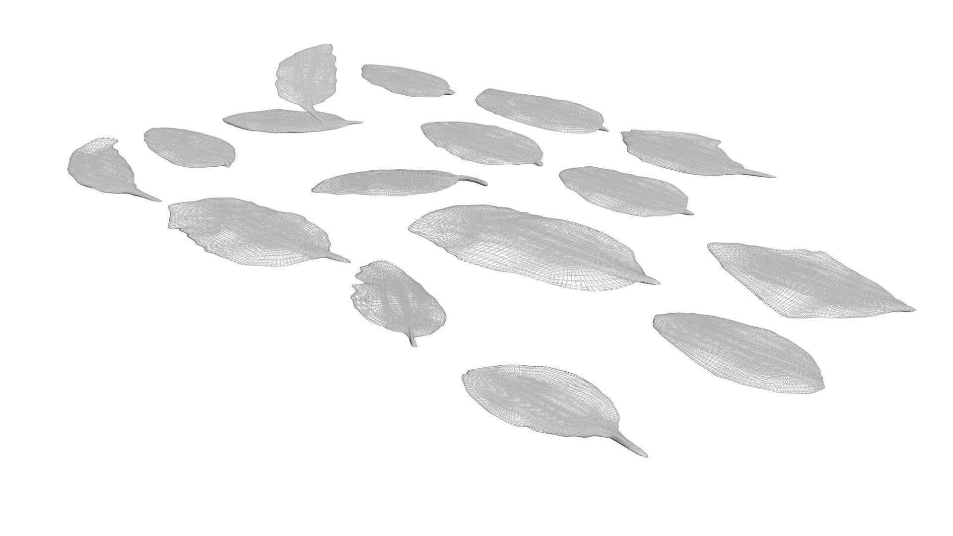 Fresh Basil Leaves Set 3D model_21