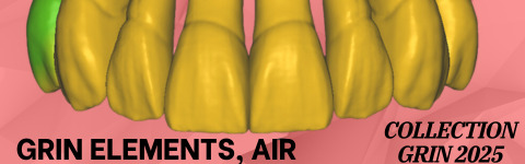 The complete set of - 34 Grin Design dental libraries - Exocad Low-poly 3D model_25