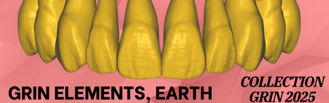 The complete set of - 34 Grin Design dental libraries - Exocad Low-poly 3D model_24