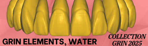 The complete set of - 34 Grin Design dental libraries - Exocad Low-poly 3D model_26