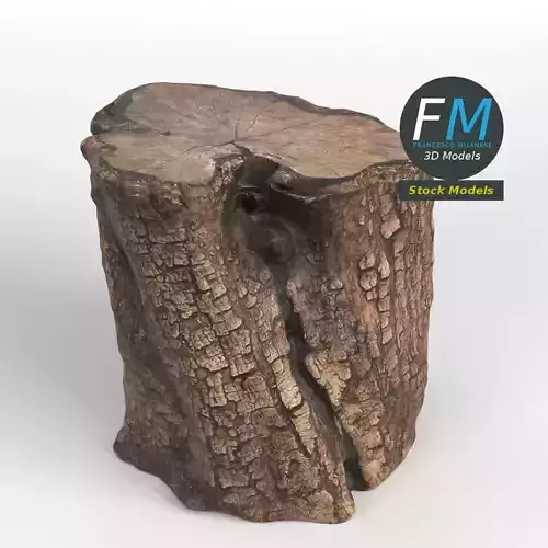Wood log 1 3D model