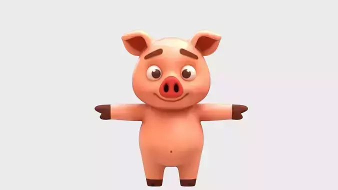 Cartoon Pig