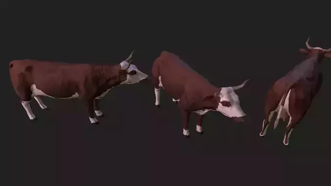 Cow complete animation
