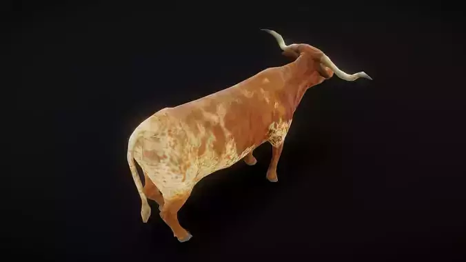 Two tone cow animation