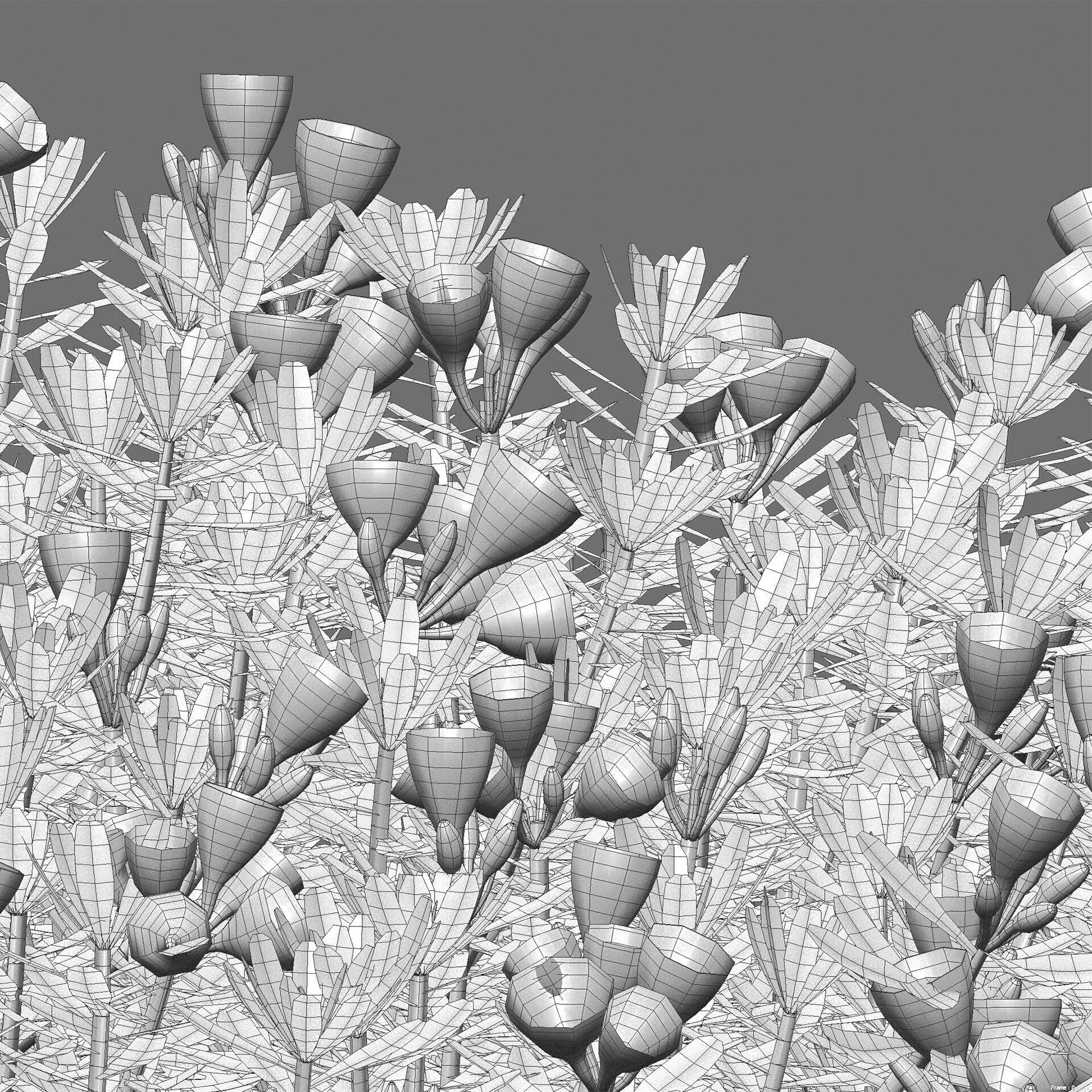 Daphne arbuscula - Shrubby daphne 02 3D model_6