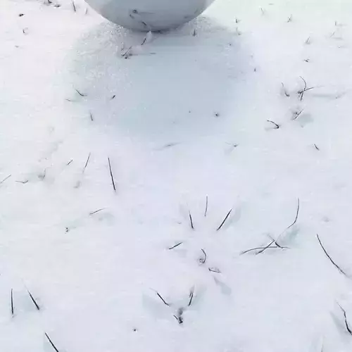  8k Grass under snow  material 03