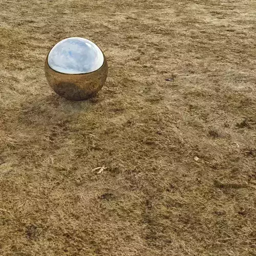 Dry grass material 01 Low-poly 3D model