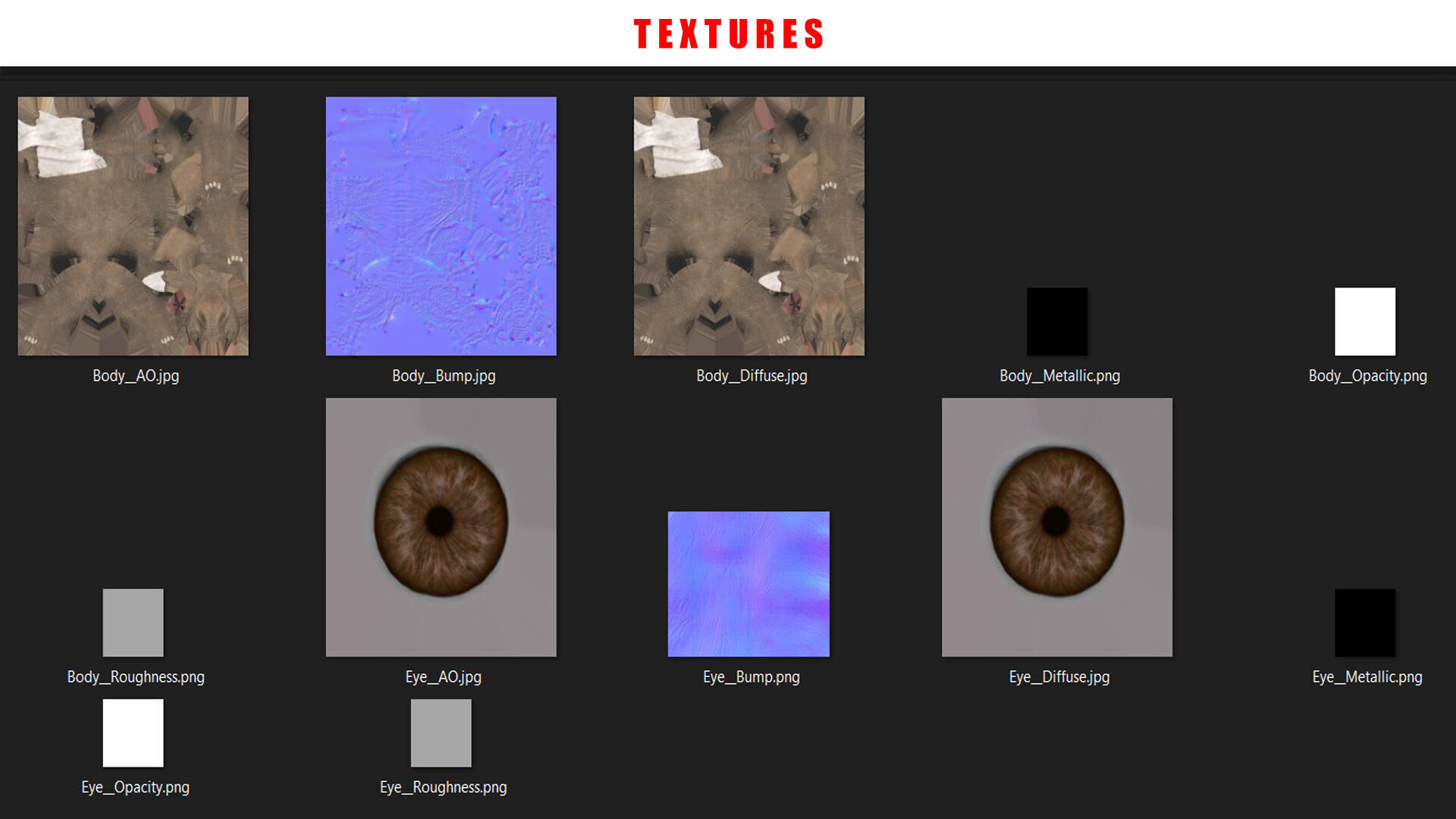 ELEPHANT RIGGED ANIMATED 5 Low-poly 3D model_14