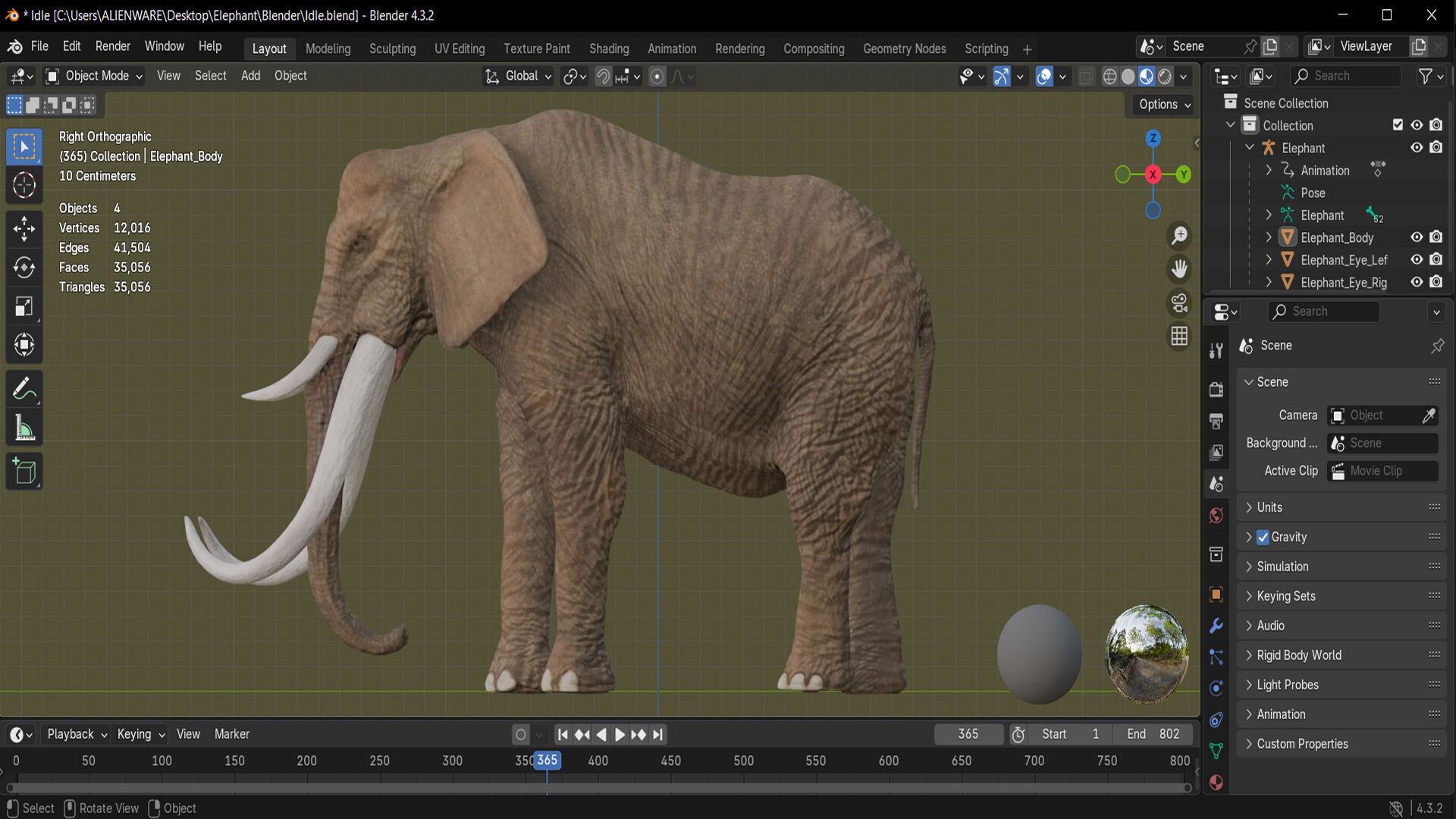 ELEPHANT RIGGED ANIMATED 5 Low-poly 3D model_11