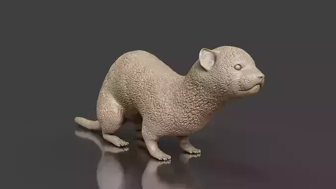 Pet World STL Ferret Print Ready Toy