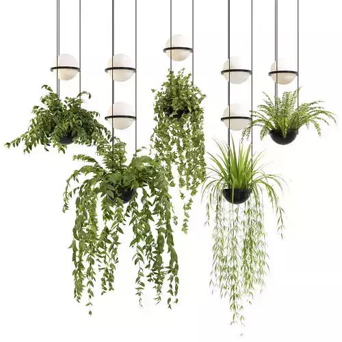 Vibia Plante Chandelier By PALMA