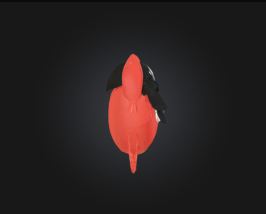 Pirate Crab Adventure A Claw-Some Journey Awaits 3D model_3