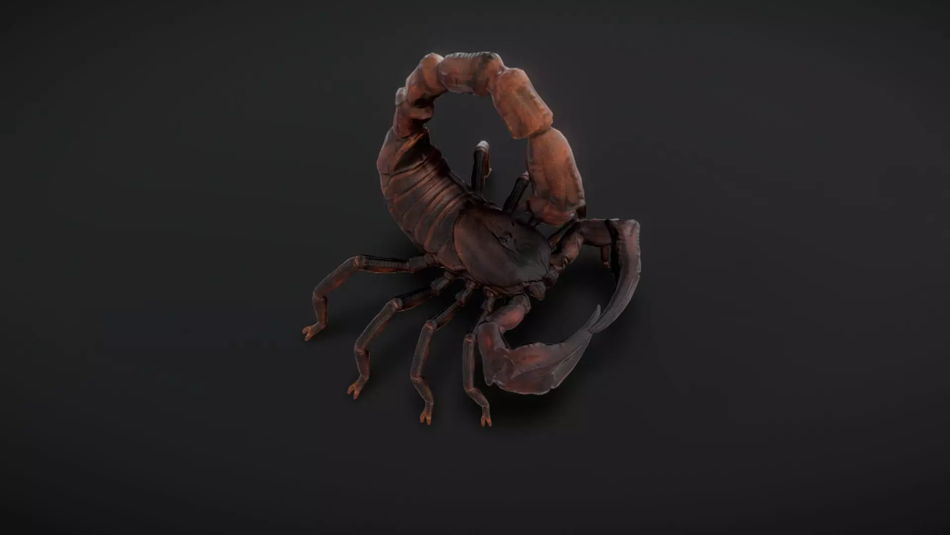 30 complete desert scorpion animations Low-poly 3D model_0
