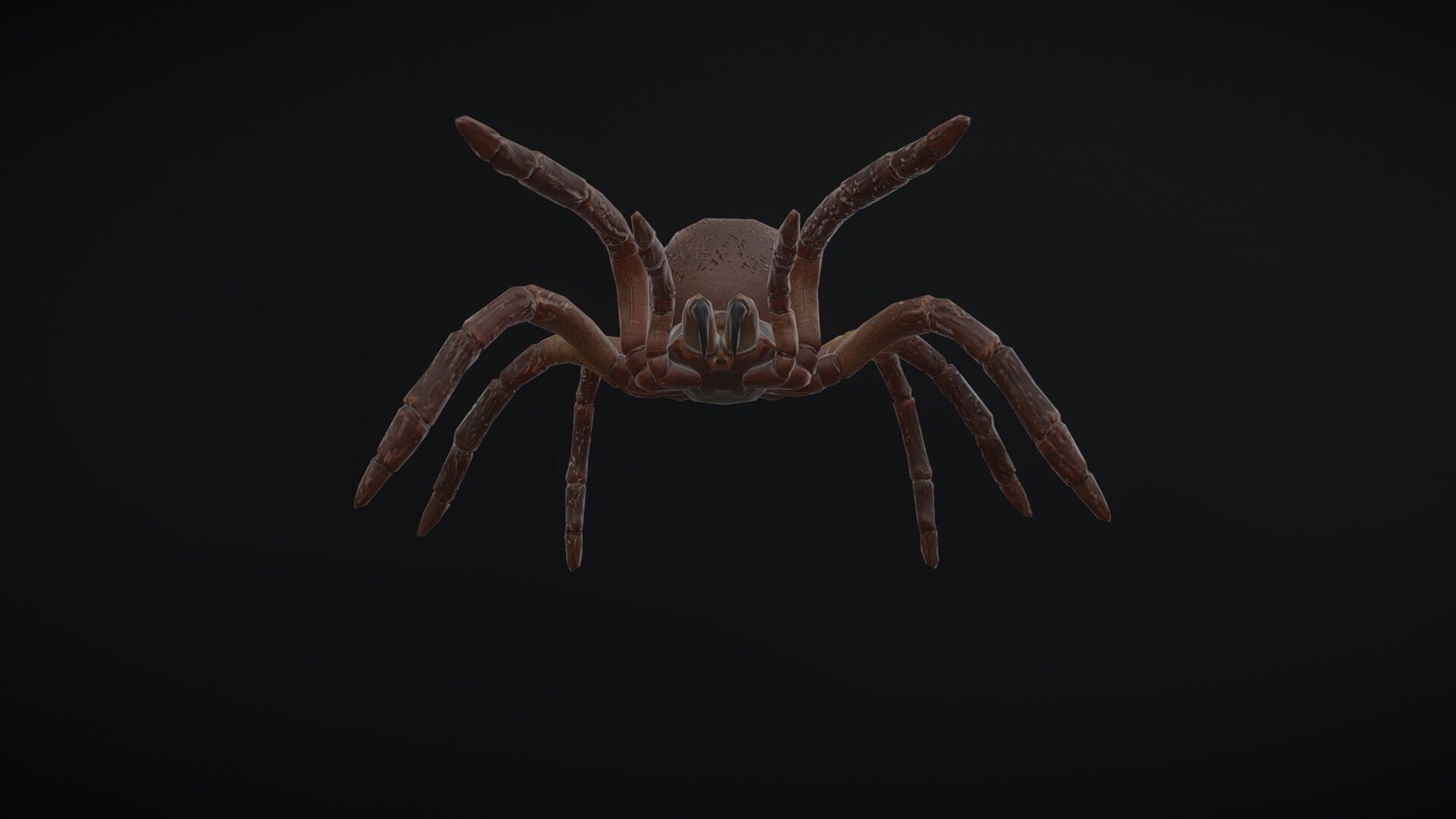 goliath spider with animation  Low-poly 3D model_4