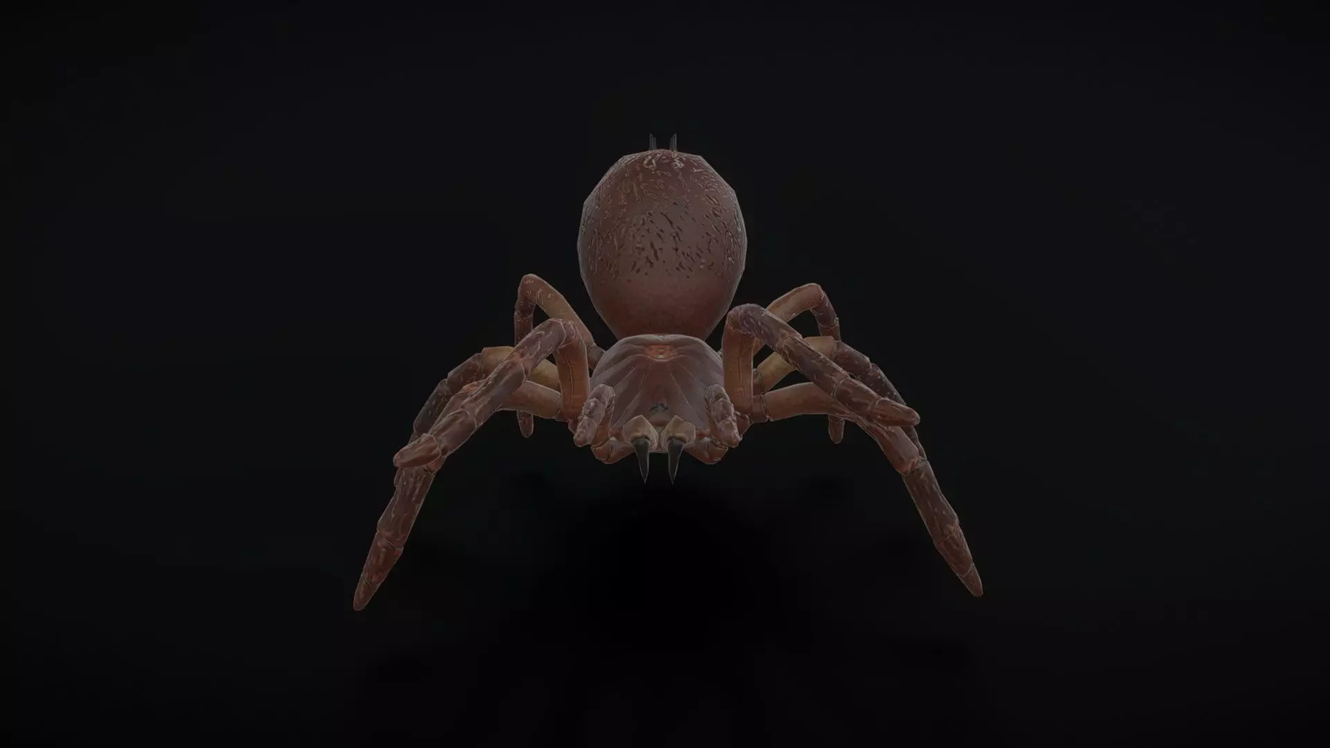 goliath spider with animation  Low-poly 3D model_0