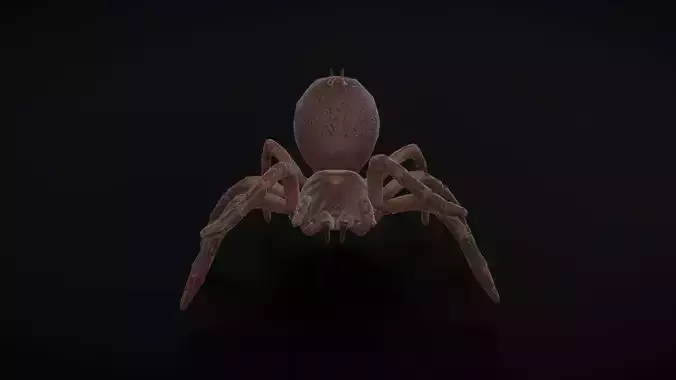 goliath spider with animation 