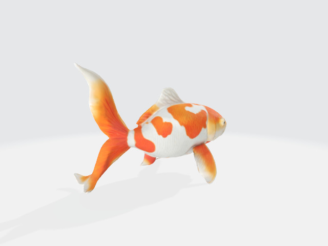porcelain koi fish 3D model_2