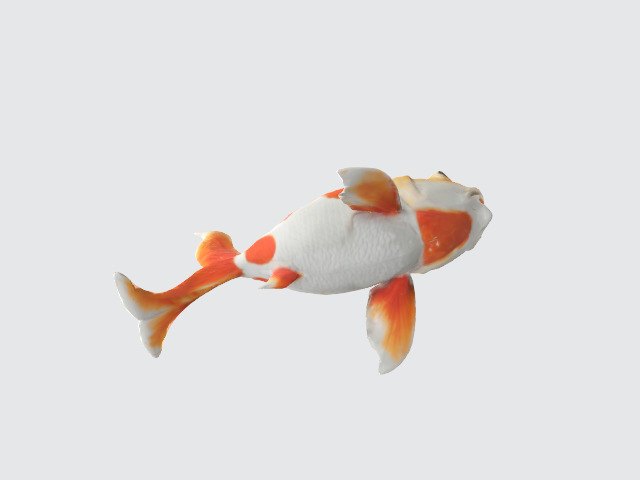 porcelain koi fish 3D model_3