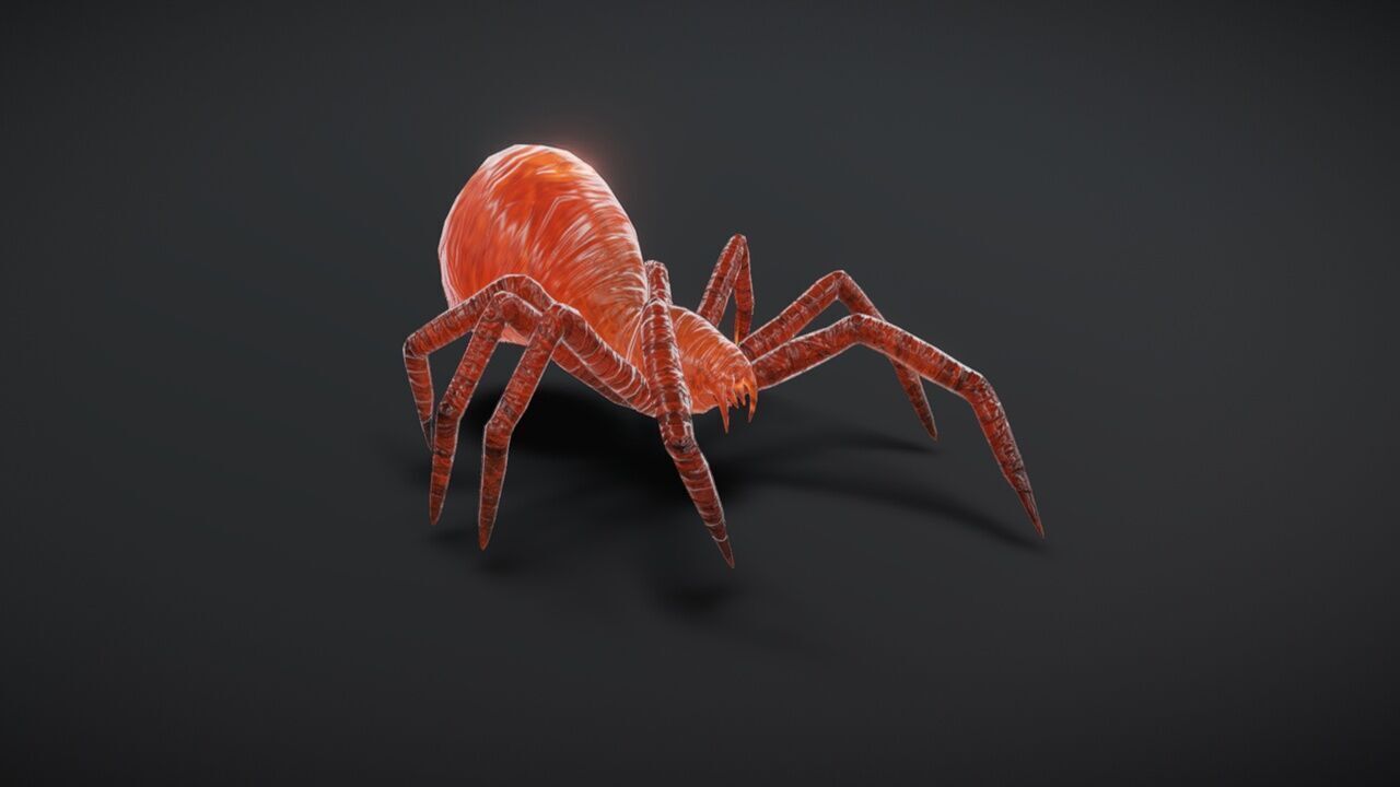 23 complete animated spiders Low-poly 3D model_9