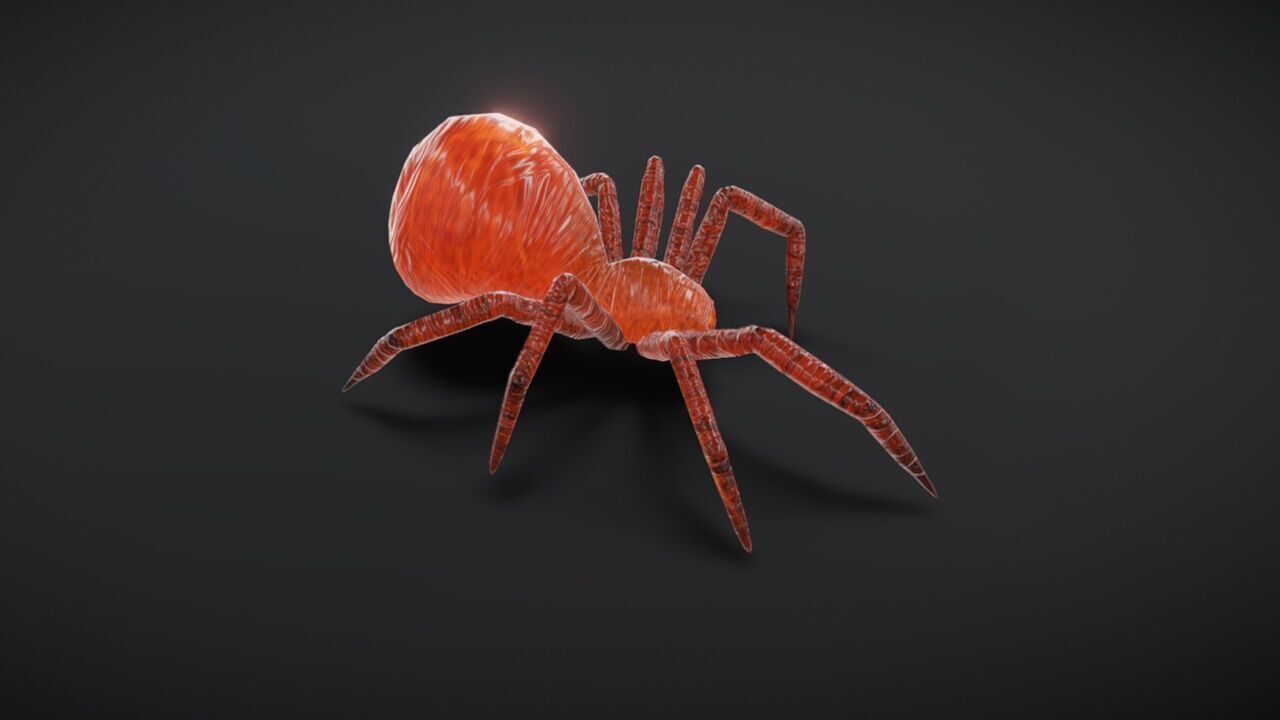 23 complete animated spiders Low-poly 3D model_2