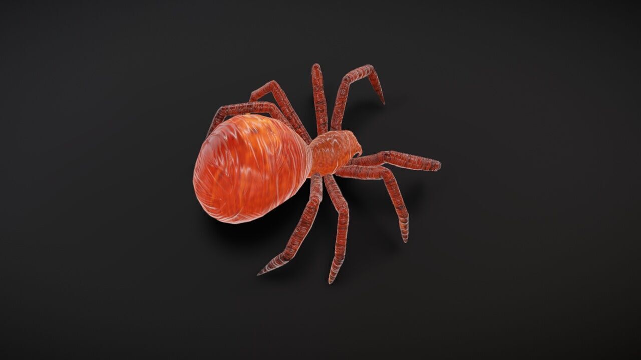 23 complete animated spiders Low-poly 3D model_7