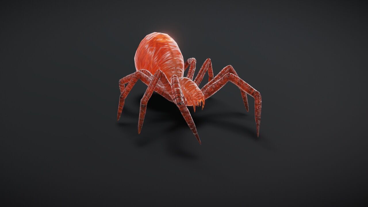 23 complete animated spiders Low-poly 3D model_8