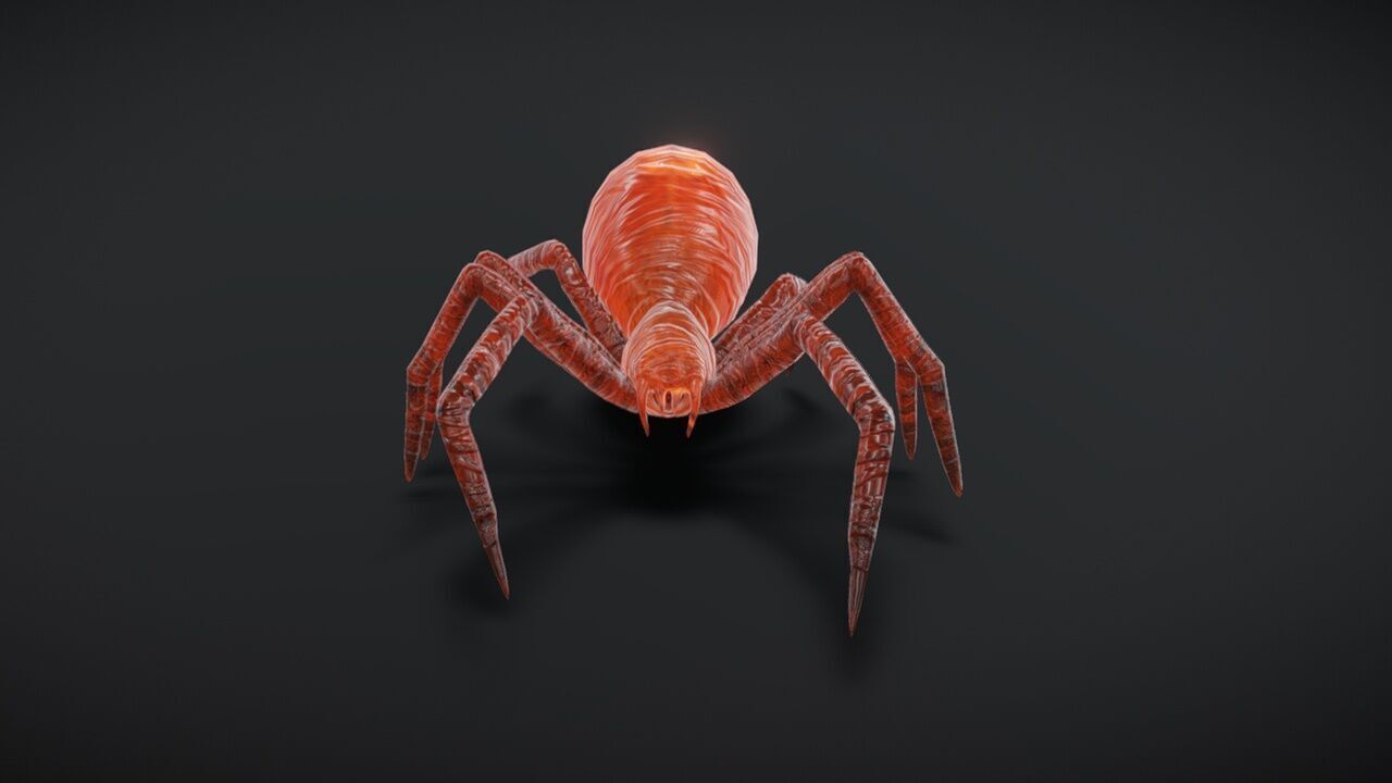 23 complete animated spiders Low-poly 3D model_6