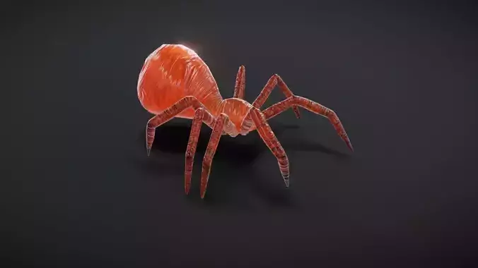 23 complete animated spiders Low-poly 3D model