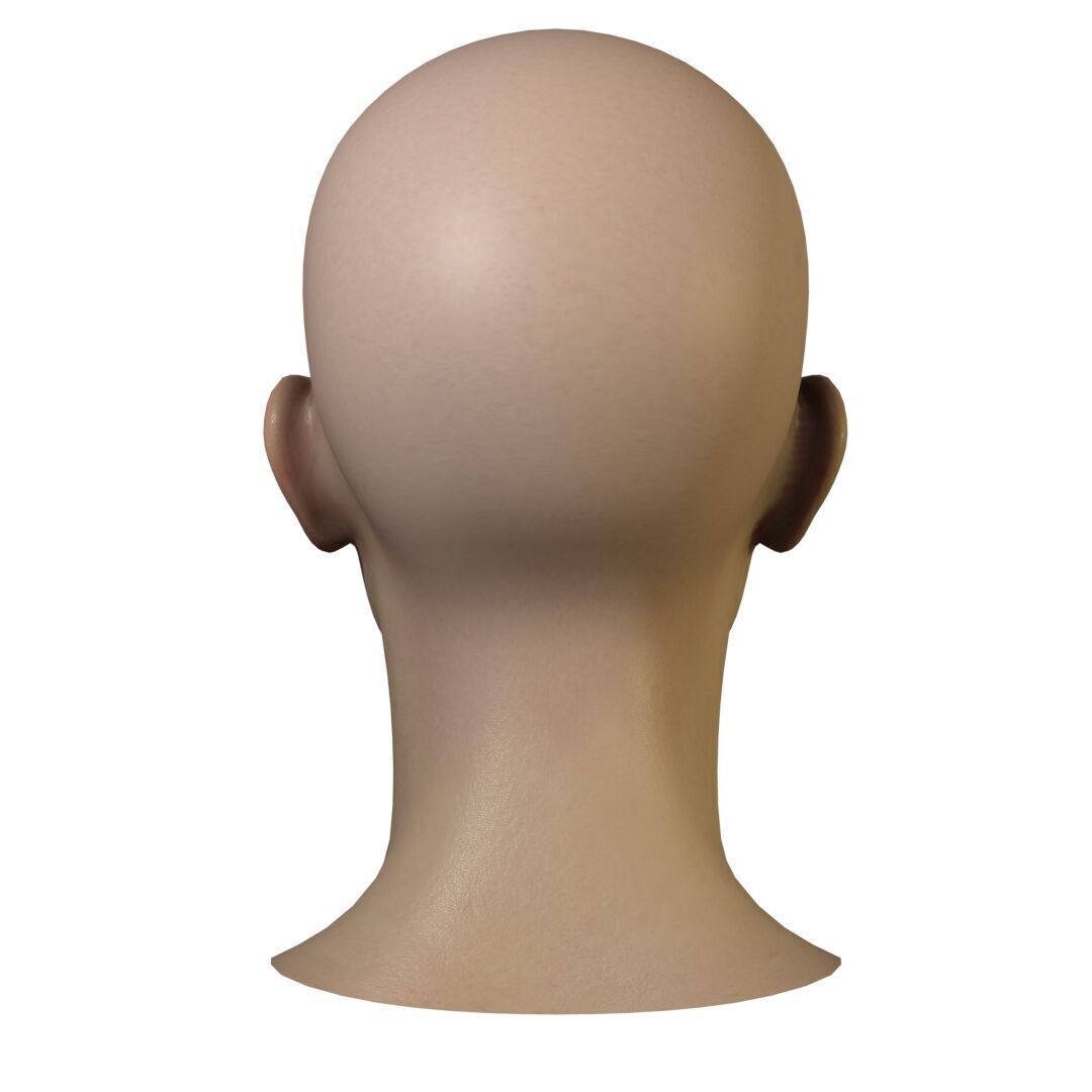 Female Head Low-poly 3D model_19