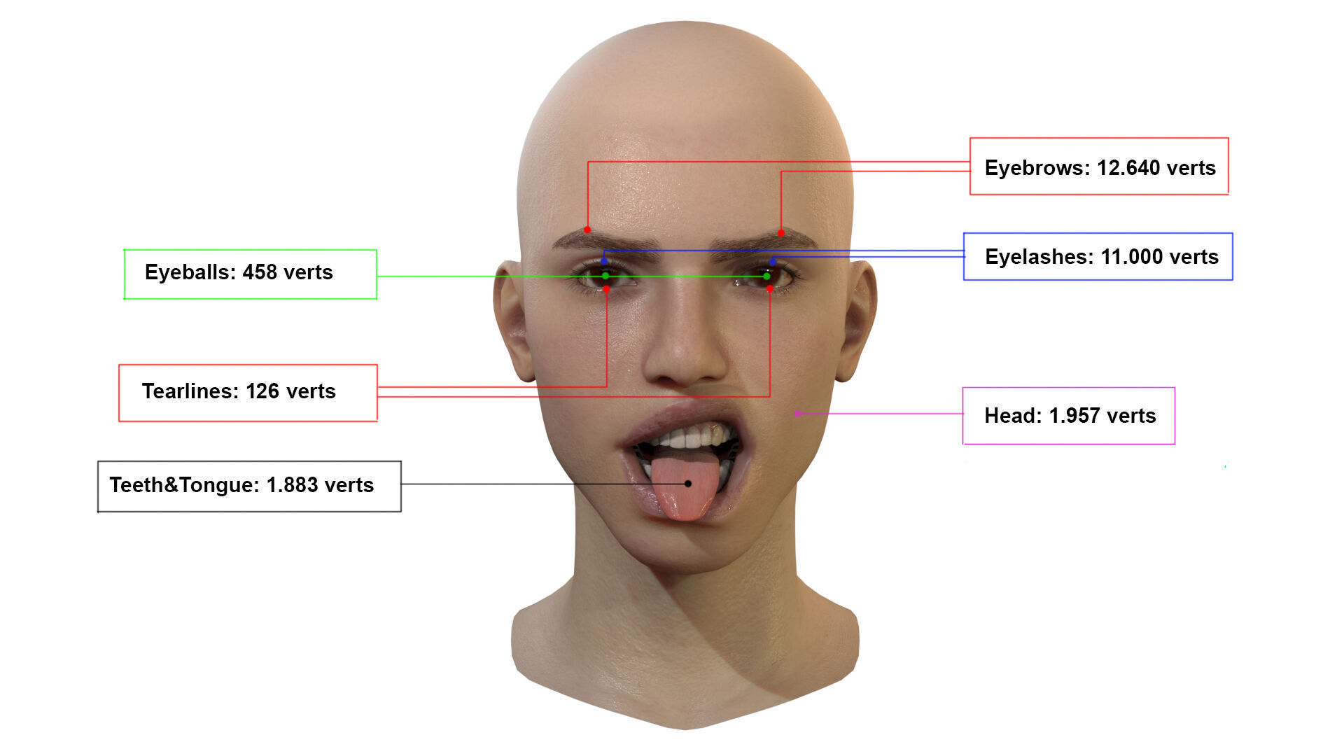 Female Head Low-poly 3D model_2
