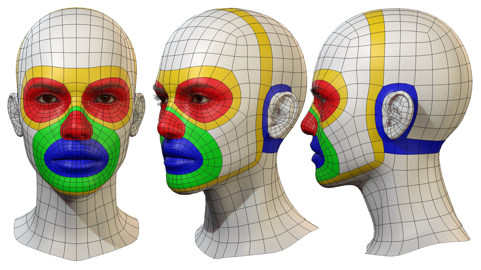 Female Head Low-poly 3D model_8