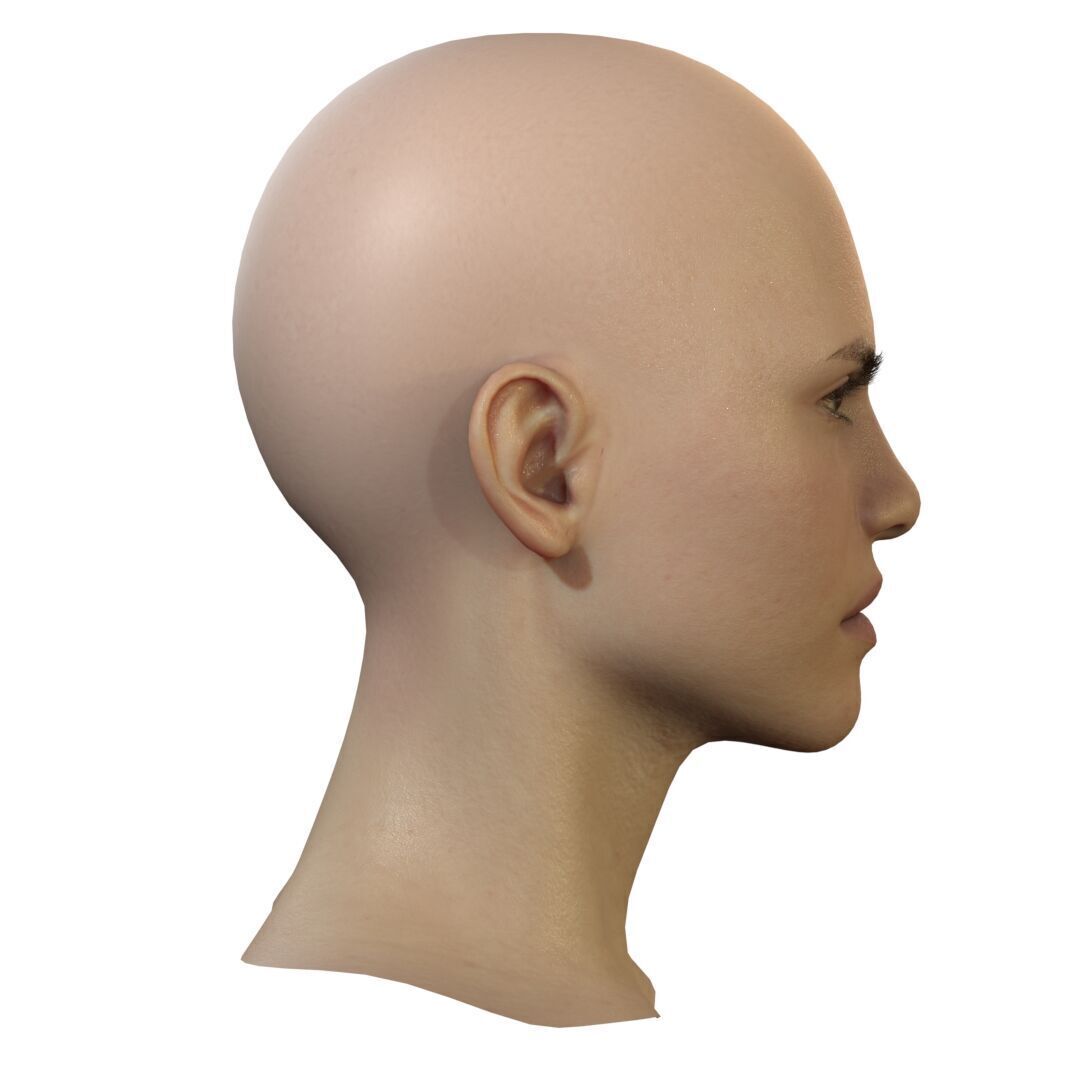 Female Head Low-poly 3D model_21