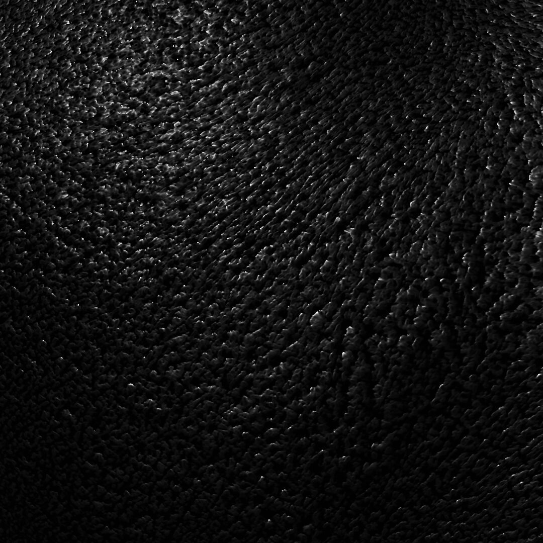 Female Head Low-poly 3D model_14