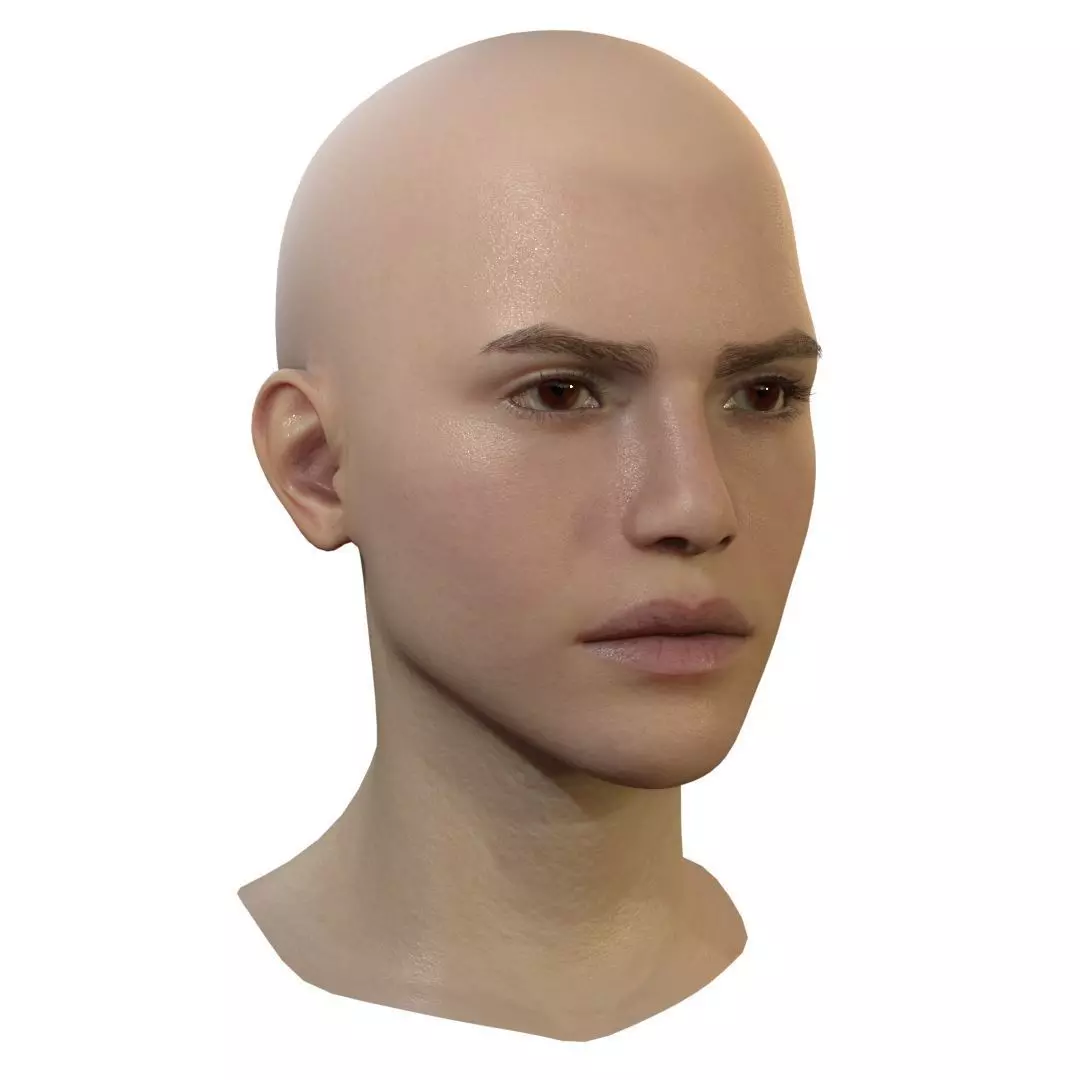 Female Head Low-poly 3D model_0