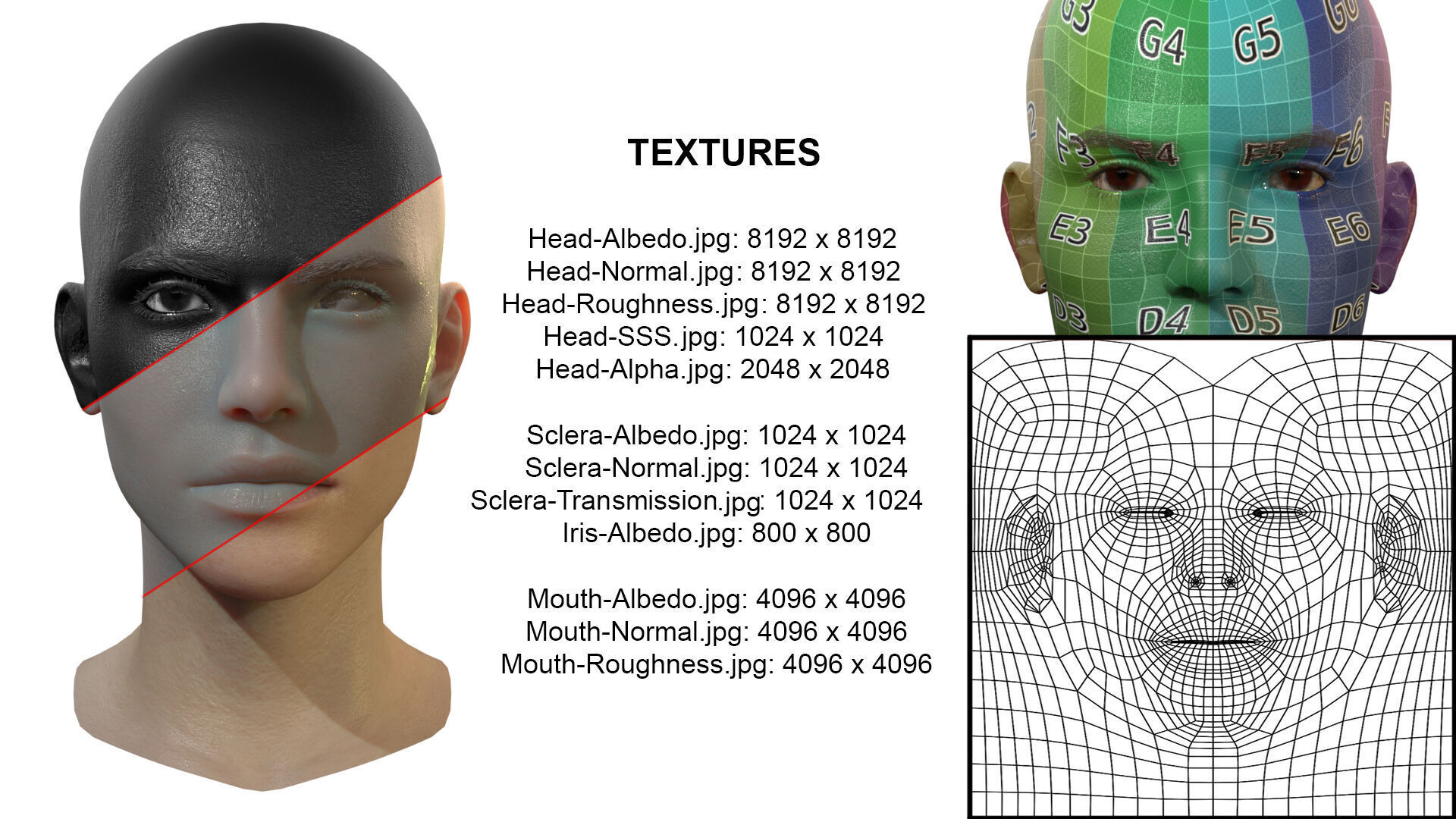 Female Head Low-poly 3D model_7