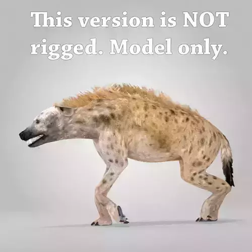 Spotted Hyena Low-poly 3D model