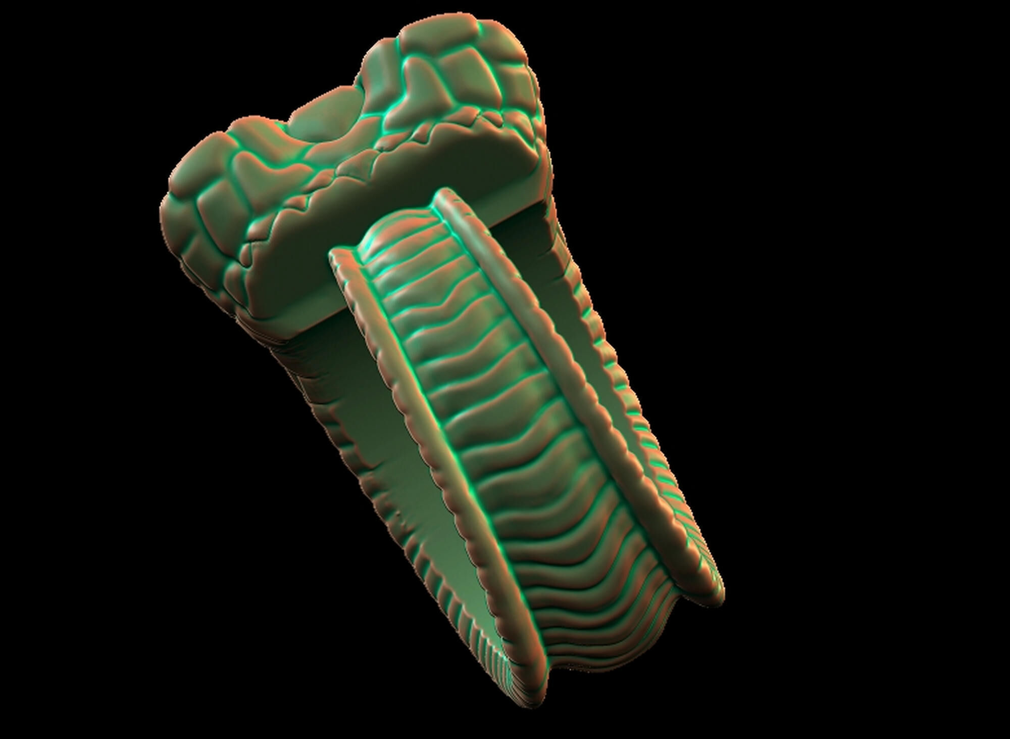 Snake Textured Snake Ring 3D print model_15