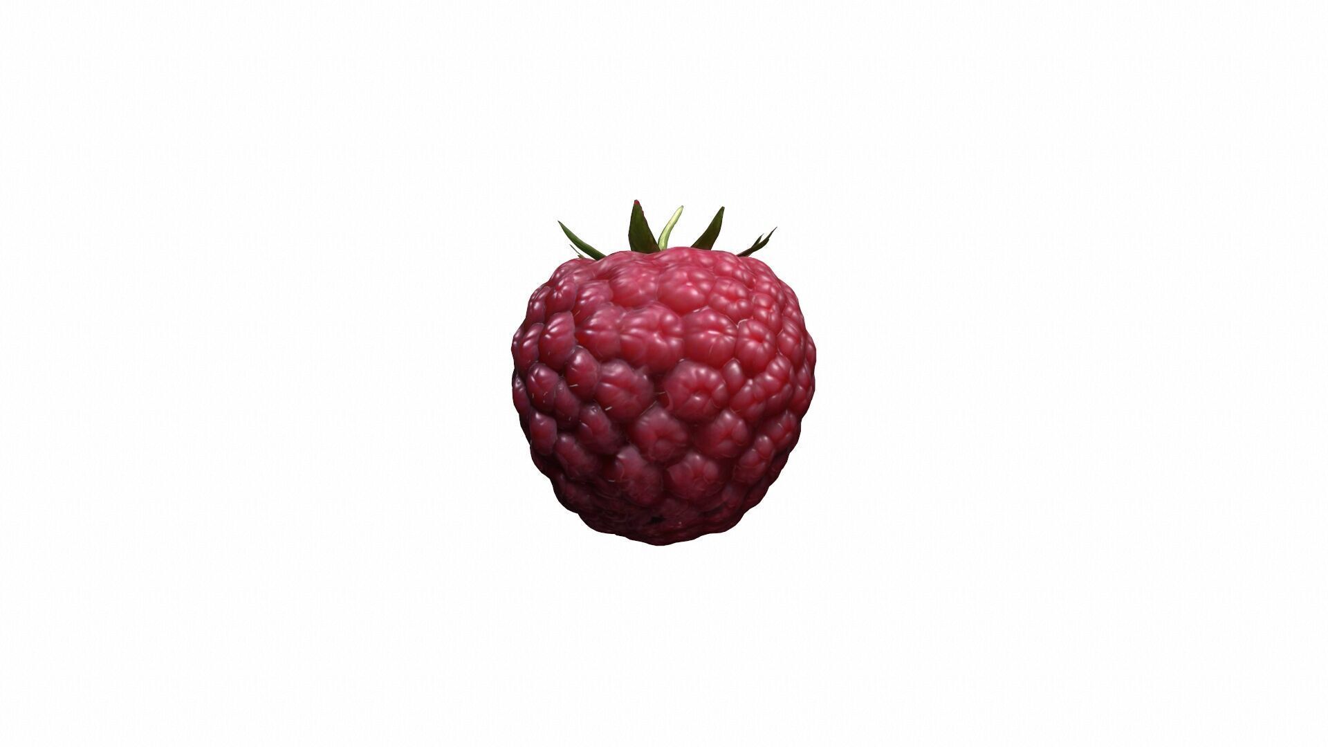 Collection Of Fresh Red Raspberries 3d Render 3D model_3